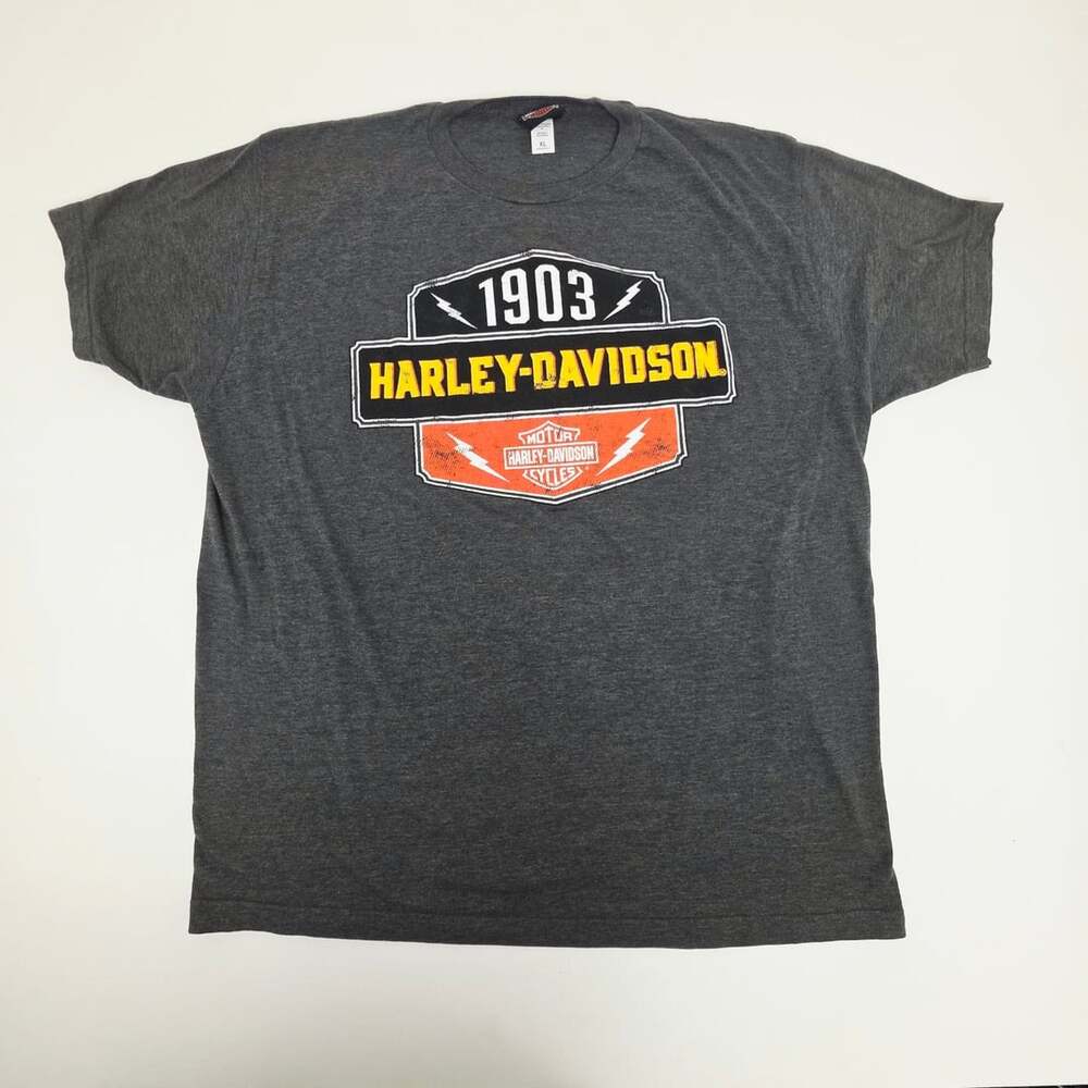 Harley-Davidson Lexington KY Graphic T-Shirt Gray Men's XL